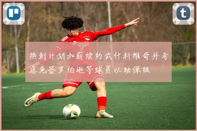热刺计划加薪续约武什科维奇并考虑免签罗伯逊等球员以助保级