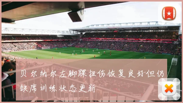 贝尔纳尔左脚踝扭伤恢复良好但仍缺席训练状态更新