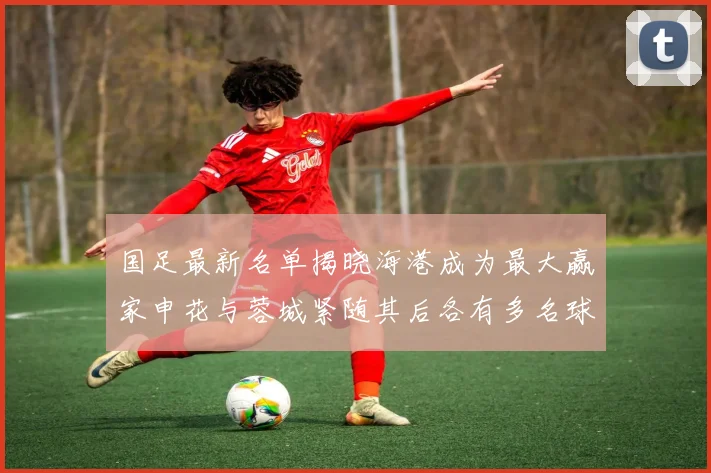 国足最新名单揭晓海港成为最大赢家申花与蓉城紧随其后各有多名球员入选