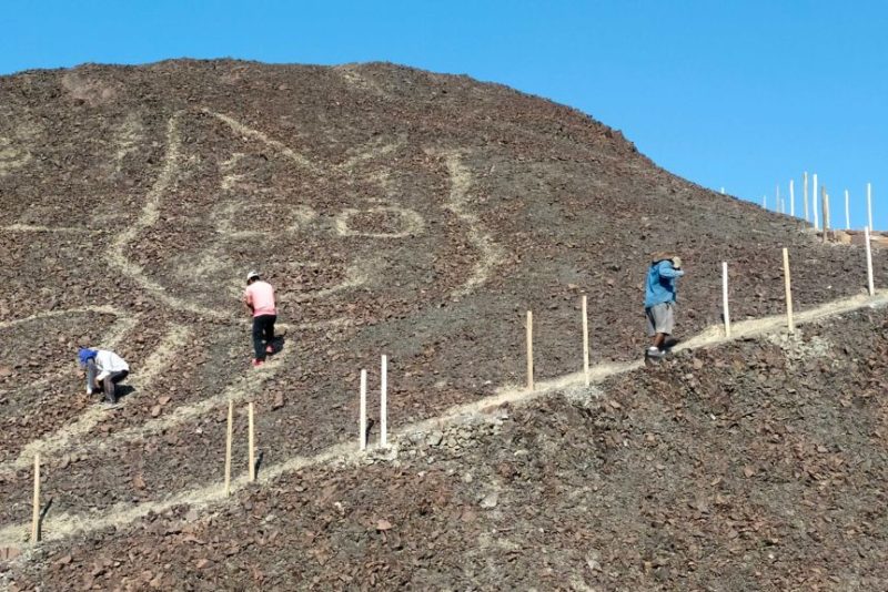 Huge, ancient cat glyph found in Peru’s Nazca Lines